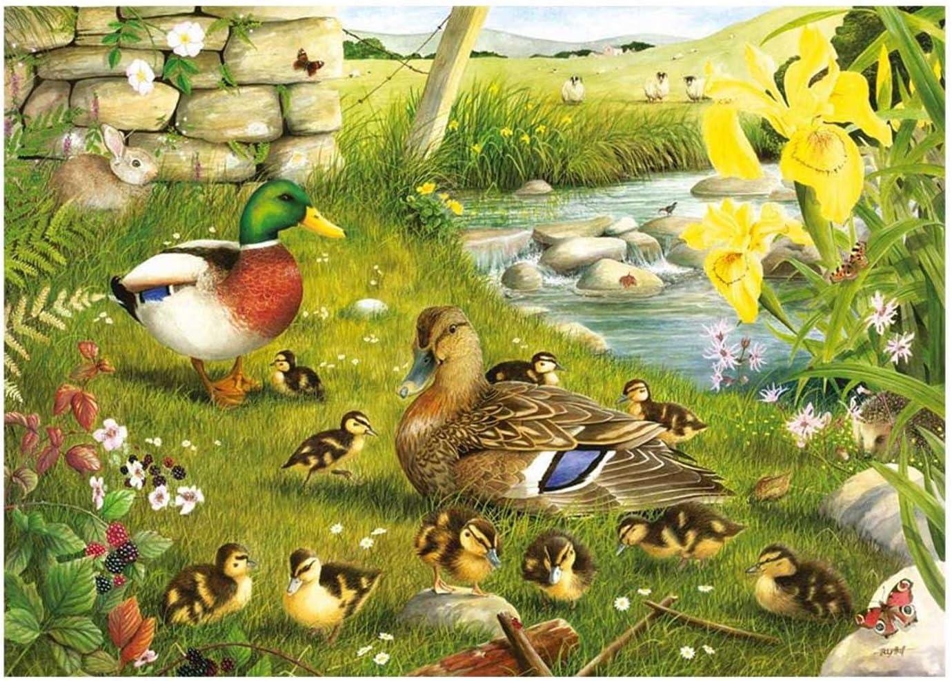 House of Puzzles Ducks To Water Jigsaw Puzzle (Big 500 XL Pieces)