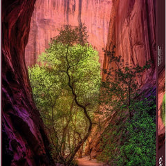 Heye Singing Canyon, Power of Nature Jigsaw Puzzle (1000 Pieces)