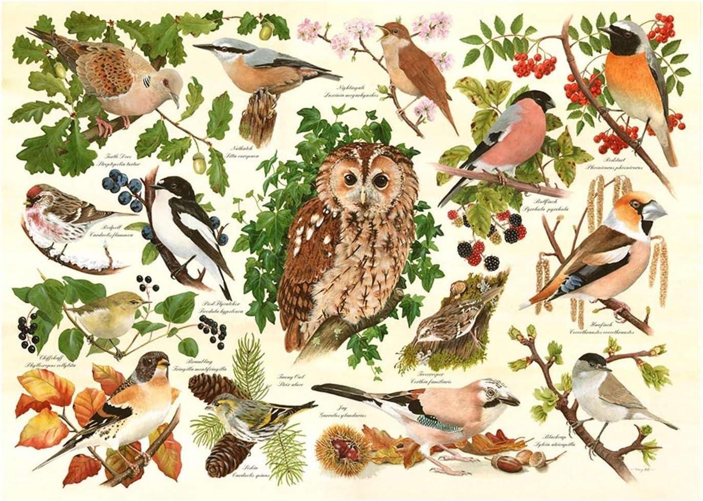 House of Puzzles Woodland Birds Jigsaw Puzzle (500 XL Pieces)