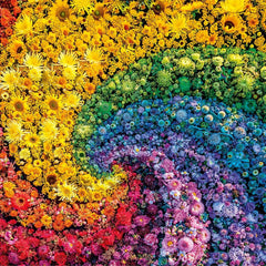 Clementoni Whirl Colorboom Jigsaw Puzzle (1000 Pieces)