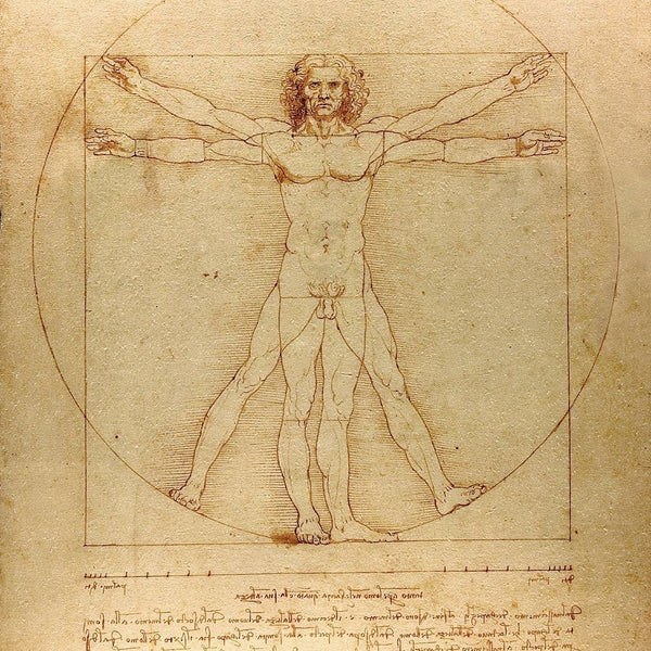 Enjoy Da Vinci - The Vitruvian Man Jigsaw Puzzle (1000 Pieces)