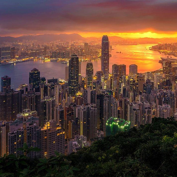 Enjoy Hong Kong at Sunrise Jigsaw Puzzle (1000 Pieces)