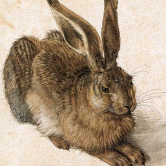 Grafika Young Hare, Albrecht Dürer Jigsaw Puzzle (500 Pieces)