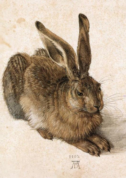 Grafika Young Hare, Albrecht Dürer Jigsaw Puzzle (500 Pieces)