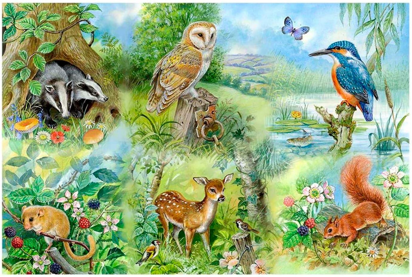 House of Puzzles Nature Study Jigsaw Puzzle (Big 250 XL Pieces)