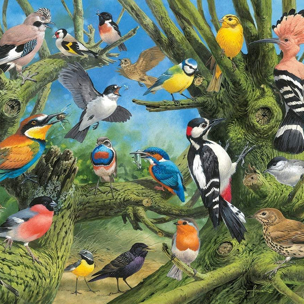 Eurographics Garden Birds Jigsaw Puzzle (1000 Pieces)
