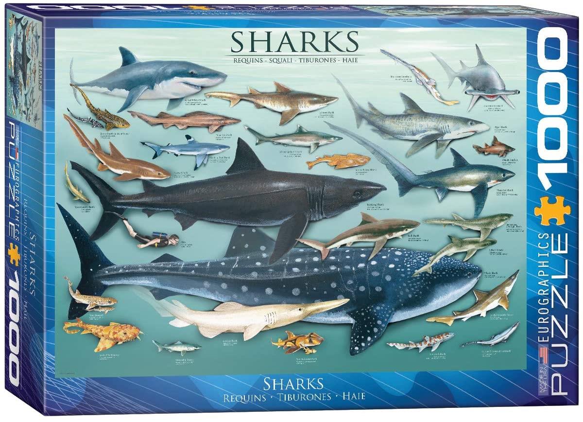 Eurographics Sharks Jigsaw Puzzle (1000 Pieces)