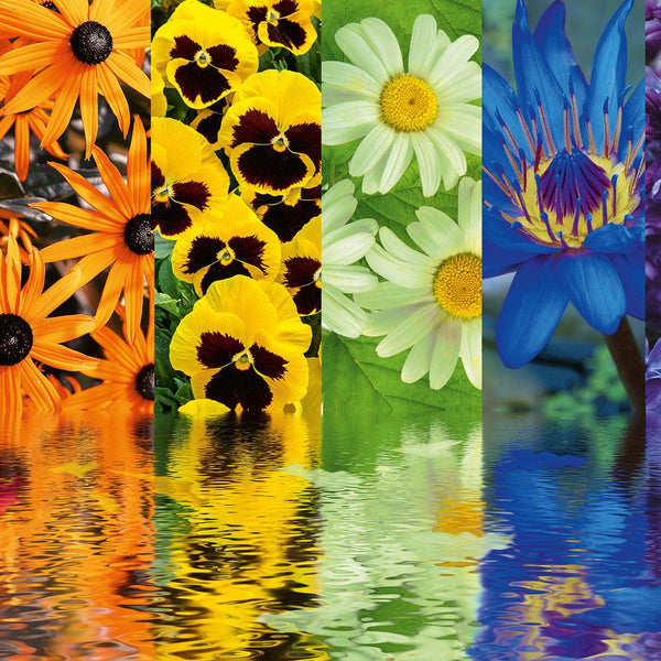 Ravensburger Floral Reflections Jigsaw Puzzle (500 Pieces)