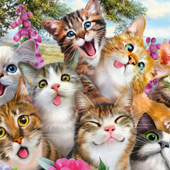 Schmidt Cat Selfie Jigsaw Puzzle (500 Pieces)