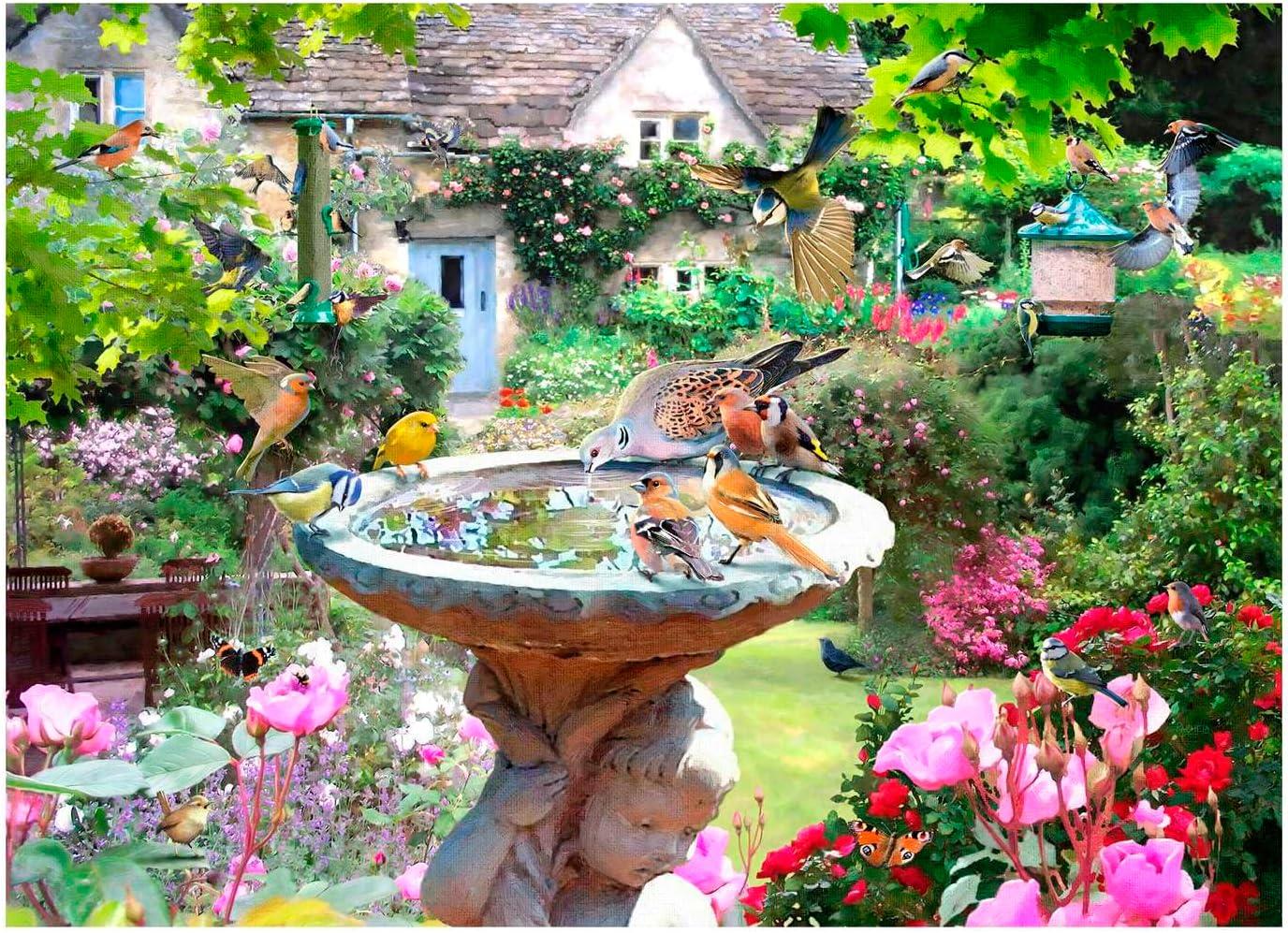 House of Puzzles Summer Birds Jigsaw Puzzle (1000 Pieces)