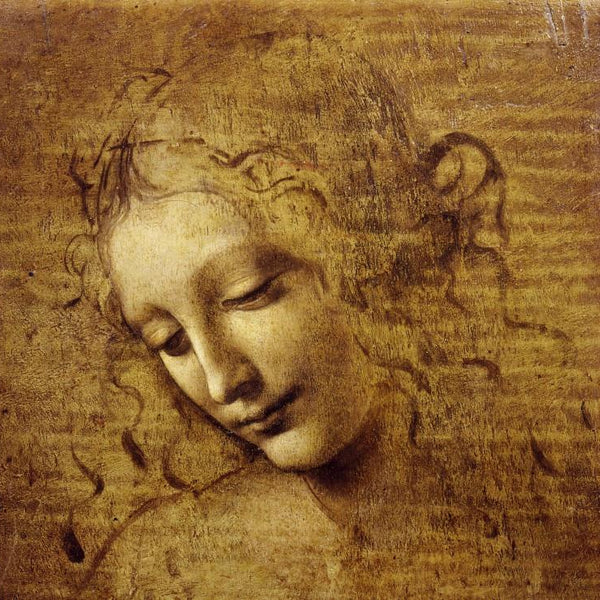 Grafika Leonardo da Vinci : The Face of Giovane Fanciulla, 1508 Jigsaw Puzzle (1000 Pieces)