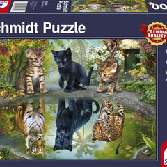 Schmidt Dream Big! Jigsaw Puzzle (1000 Pieces)