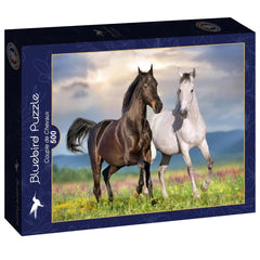 Bluebird Couple de Chevaux - A Couple of Horses Jigsaw Puzzle (500 Pieces)