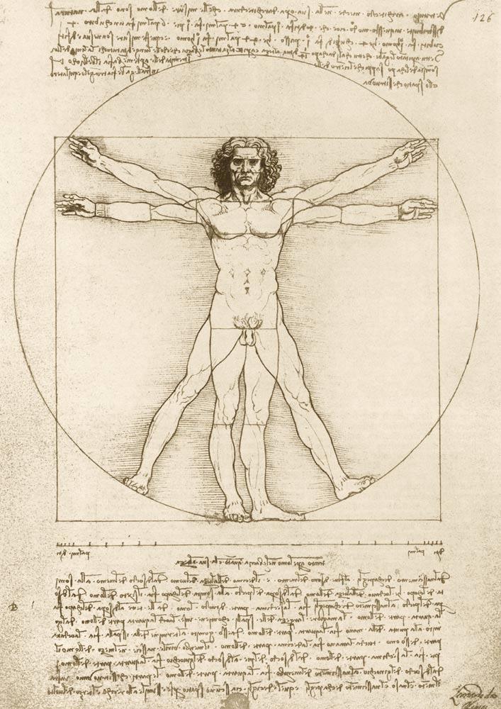 Bluebird Art Da Vinci - The Vitruvian Man 1490 Jigsaw Puzzle (1000 Pieces)