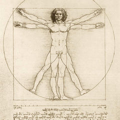 Bluebird Art Da Vinci - The Vitruvian Man 1490 Jigsaw Puzzle (1000 Pieces)
