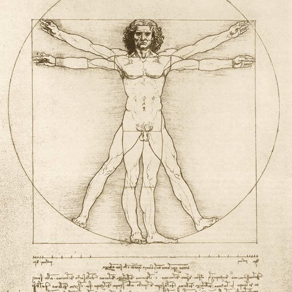 Bluebird Art Da Vinci - The Vitruvian Man 1490 Jigsaw Puzzle (1000 Pieces)