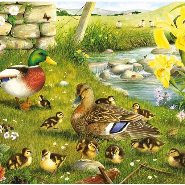 House of Puzzles Ducks To Water Jigsaw Puzzle (Big 500 XL Pieces)