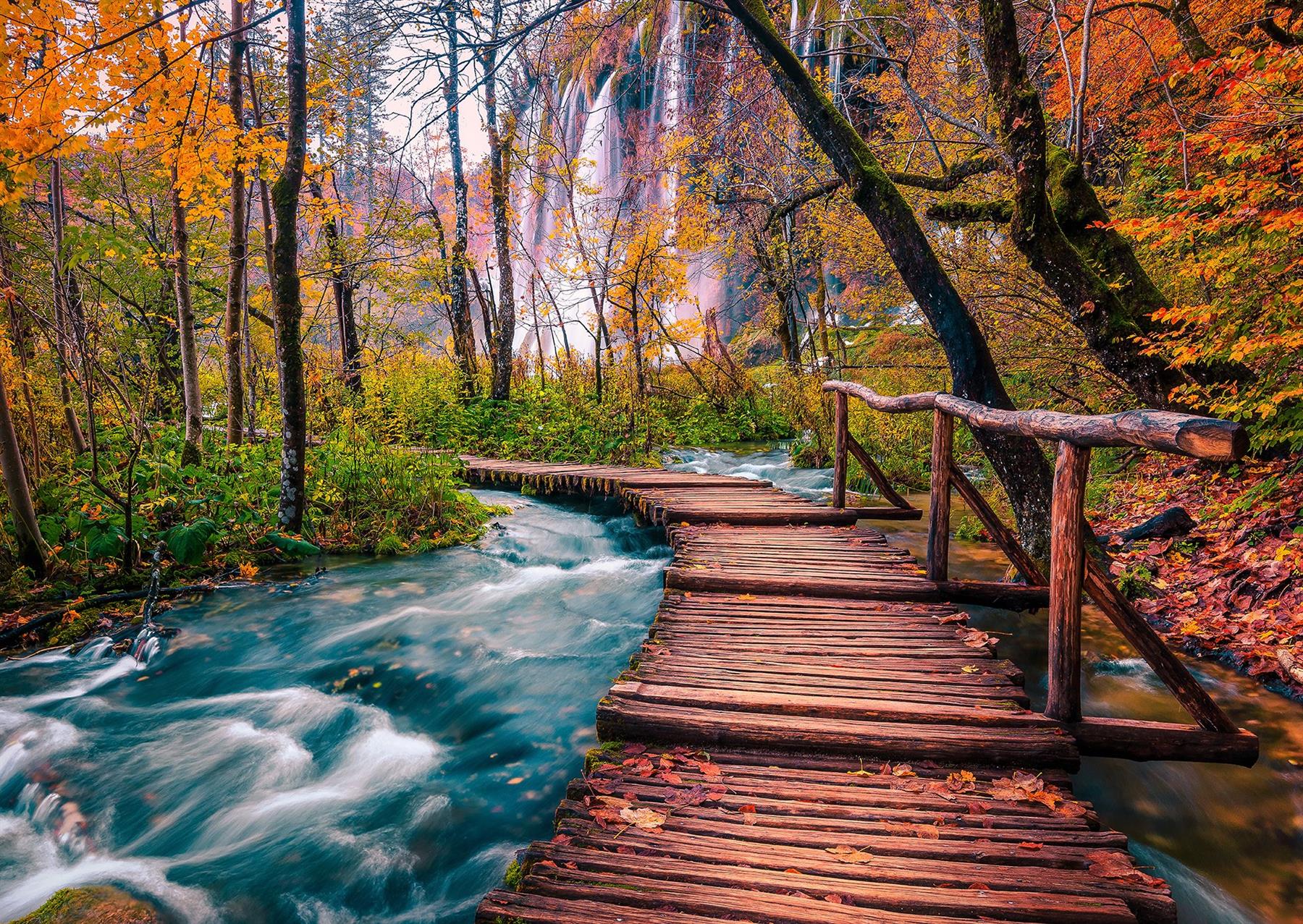 Enjoy Forest Stream in Plitvice, Croatia Jigsaw Puzzle (1000 Pieces)