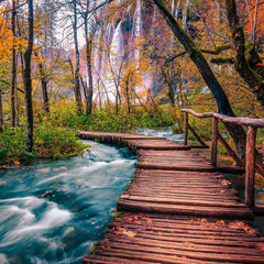 Enjoy Forest Stream in Plitvice, Croatia Jigsaw Puzzle (1000 Pieces)