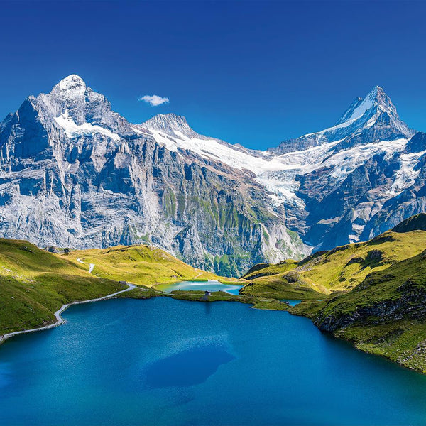 Alipson Lac De Bachalp, Alpes Jigsaw Puzzle (1000 Pieces)