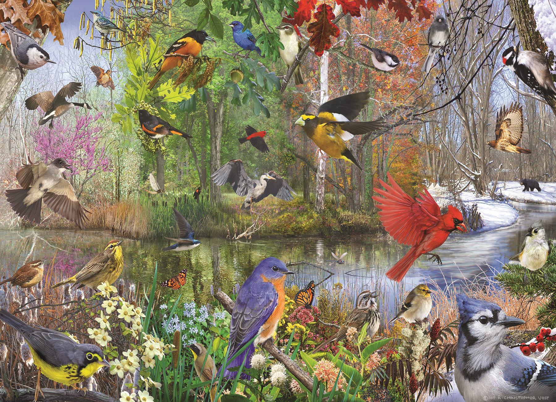 Cobble Hill Birds of the Season Jigsaw Puzzle (1000 Pieces)