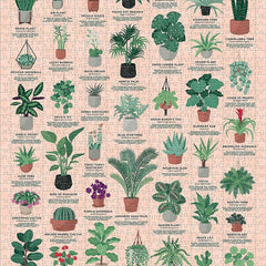 Ridley's House Plants Jigsaw Puzzle (1000 Pieces)