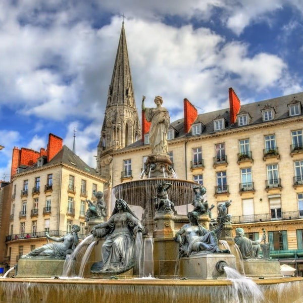 Bluebird Loire Atlantique, Place Royale, Nantes, France Jigsaw Puzzle (1000 Pieces)
