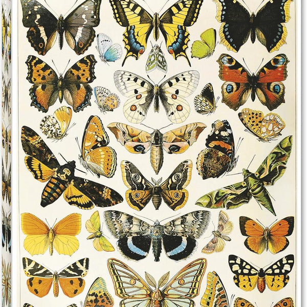 Piatnik Butterflies & Moths  Jigsaw Puzzle (1000 Pieces)