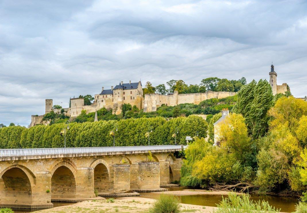 Bluebird Forteresse Royale de Chinon, France Jigsaw Puzzle (1000 Pieces)