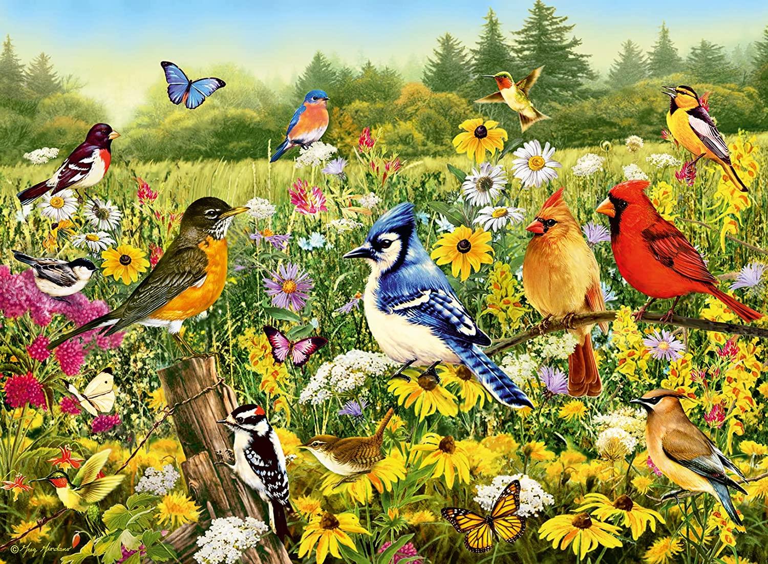 Ravensburger Birds in the Meadow Jigsaw Puzzle (500 Pieces)