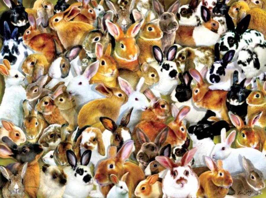 Sunsout A Bundle of Bunnies - Lori Schory Jigsaw Puzzle (1000 Pieces)
