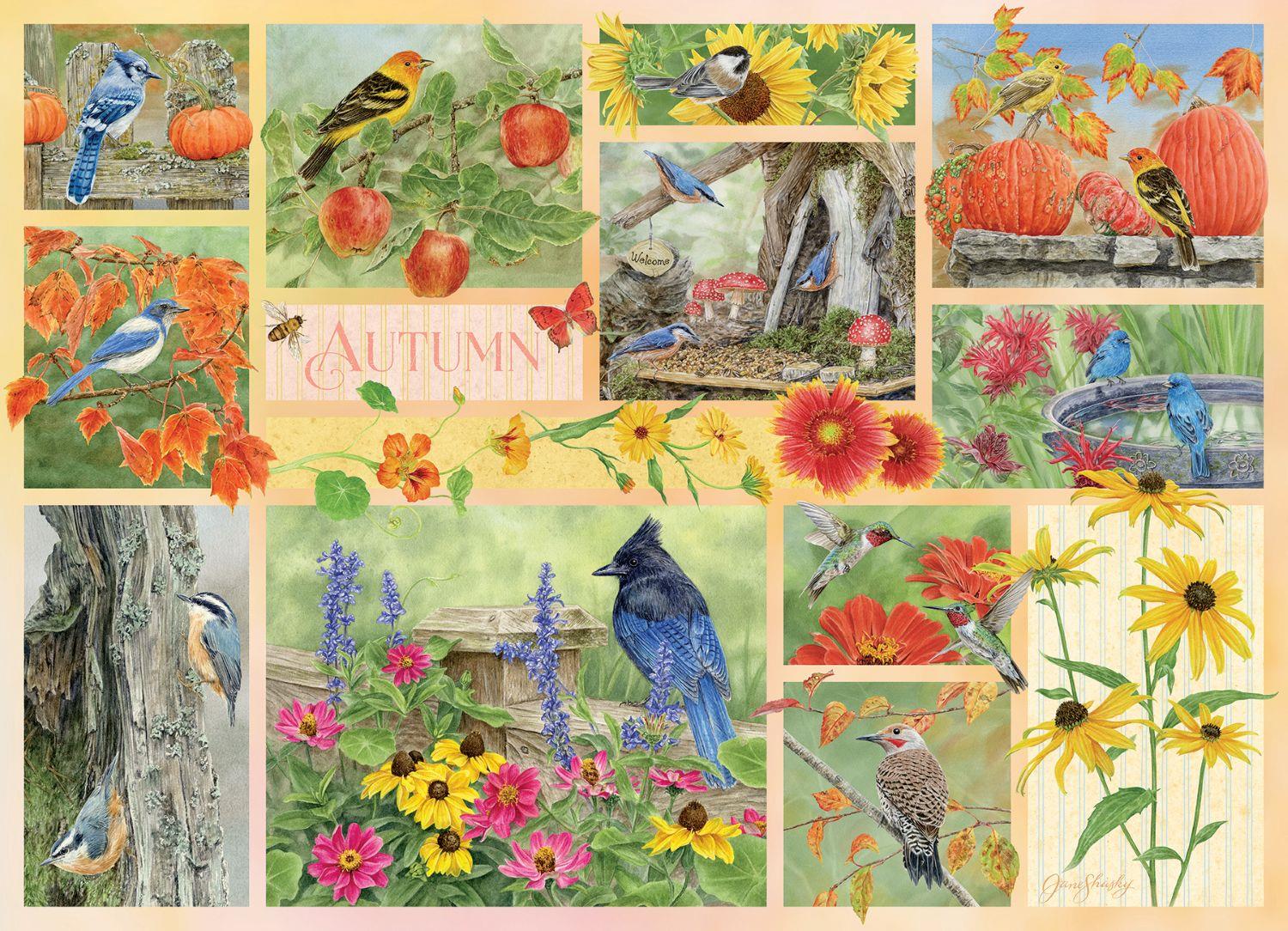 Cobble Hill Garden Birds in Autumn Jigsaw Puzzle (500 XL Pieces)