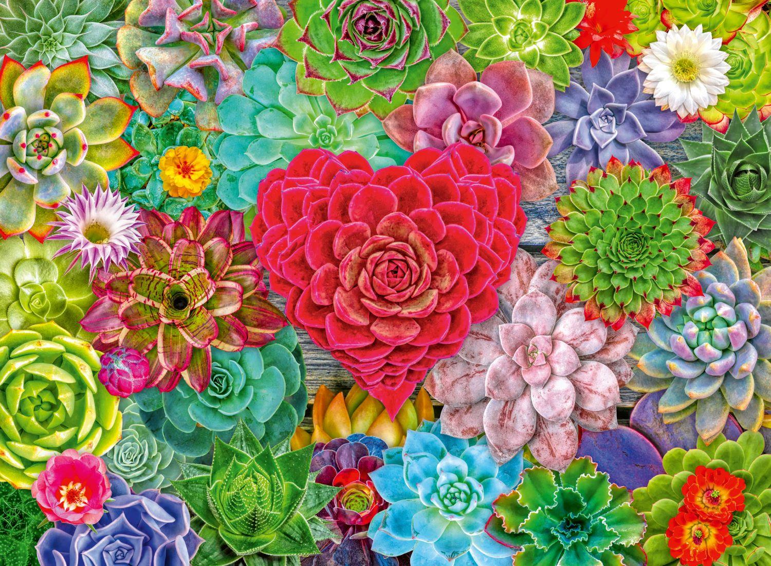 Ravensburger Succulent Love Jigsaw Puzzle (500 Pieces)