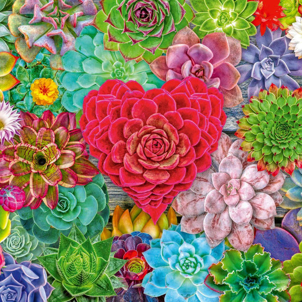 Ravensburger Succulent Love Jigsaw Puzzle (500 Pieces)