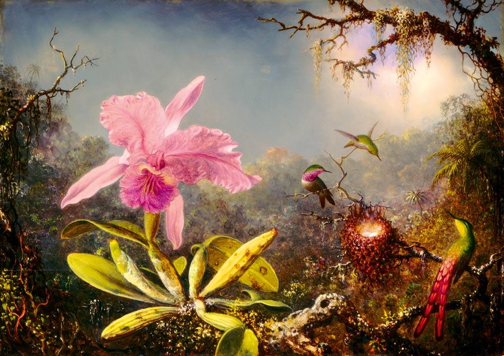 Bluebird Art Martin Johnson Heade - Cattleya Orchid & Three Hummingbirds Jigsaw Puzzle (1000 Pieces)