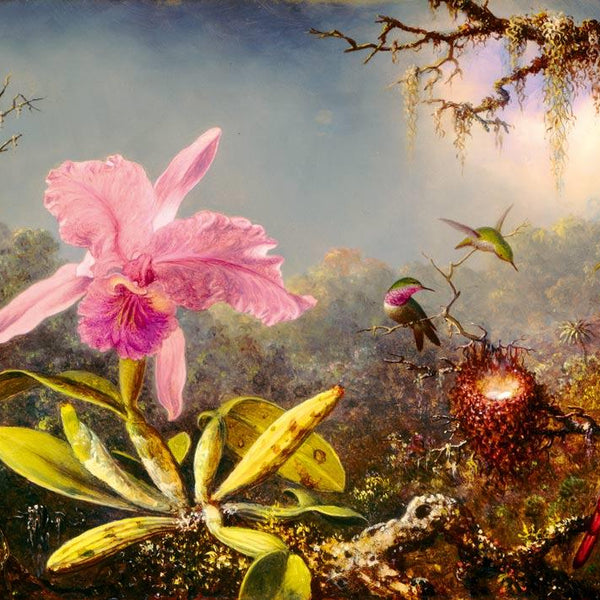 Bluebird Art Martin Johnson Heade - Cattleya Orchid & Three Hummingbirds Jigsaw Puzzle (1000 Pieces)