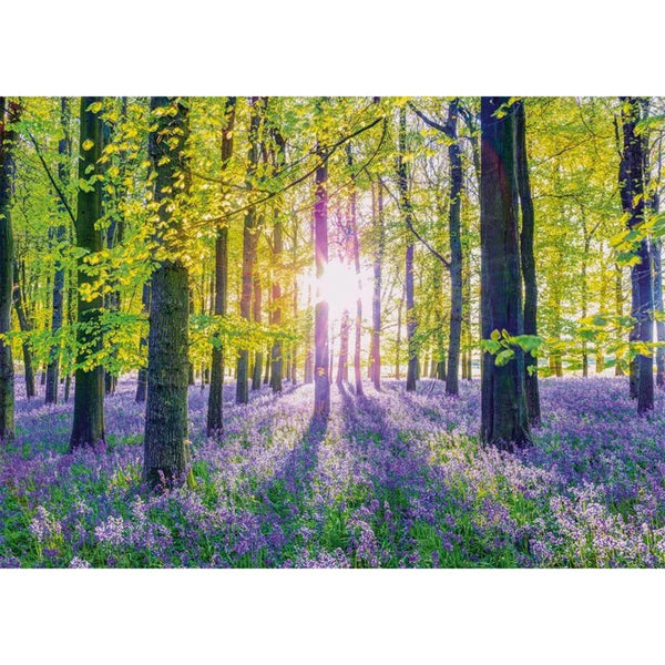 Schmidt Tranquil Bluebell Woods Jigsaw Puzzle (1000 Pieces)