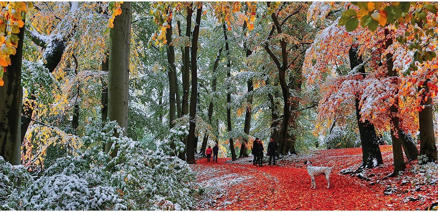 Gibsons Snow in Autumn Jigsaw Puzzle (636 Pieces)