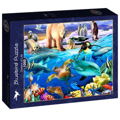 Bluebird Oceans of Life Jigsaw Puzzle (1000 Pieces)