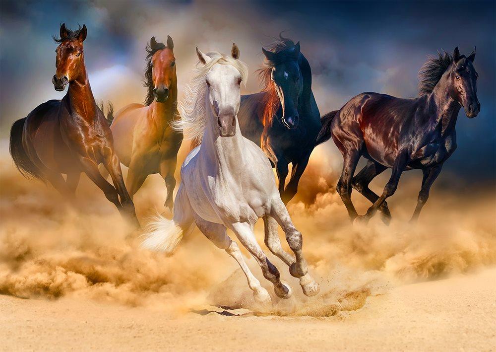 Enjoy Horses Running in the Desert Jigsaw Puzzle (1000 Pieces)