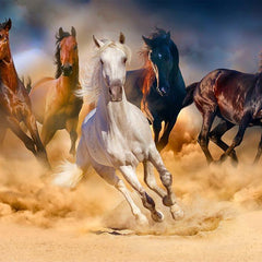 Enjoy Horses Running in the Desert Jigsaw Puzzle (1000 Pieces)