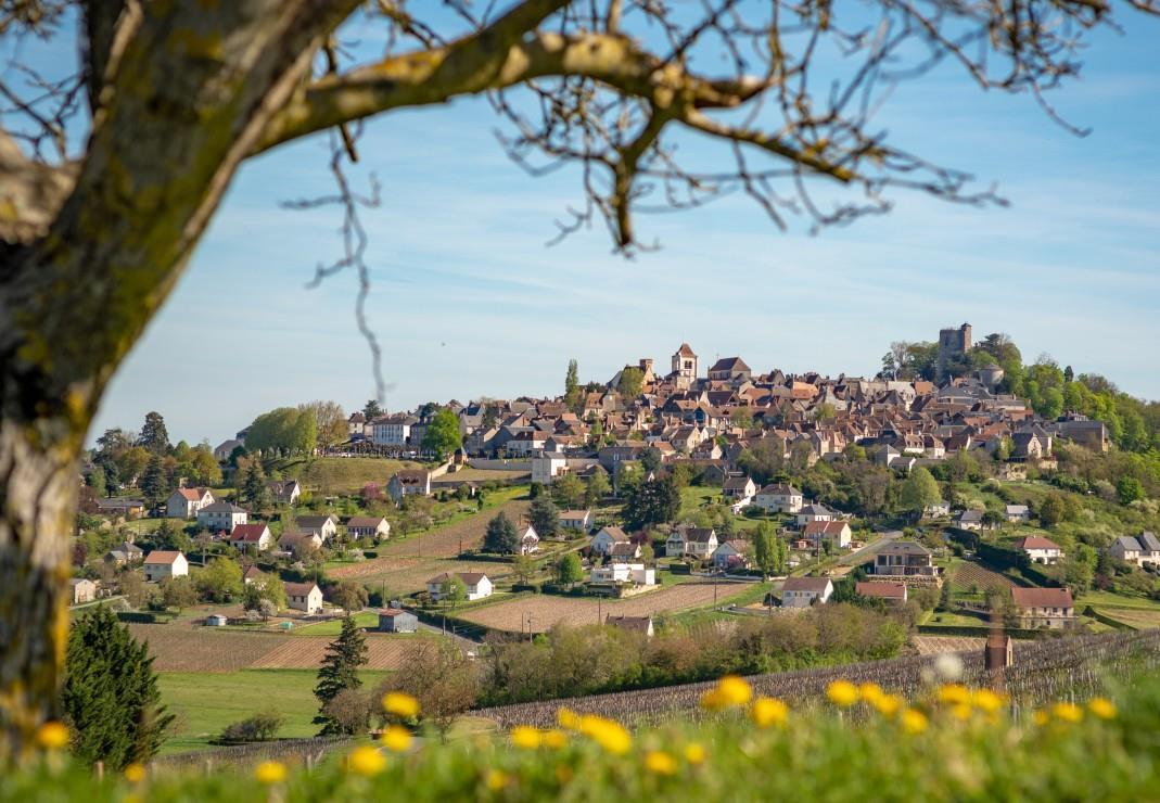 Bluebird Sancerre, Centre-Val de Loire, France Jigsaw Puzzle (1000 Pieces)