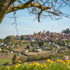 Bluebird Sancerre, Centre-Val de Loire, France Jigsaw Puzzle (1000 Pieces)