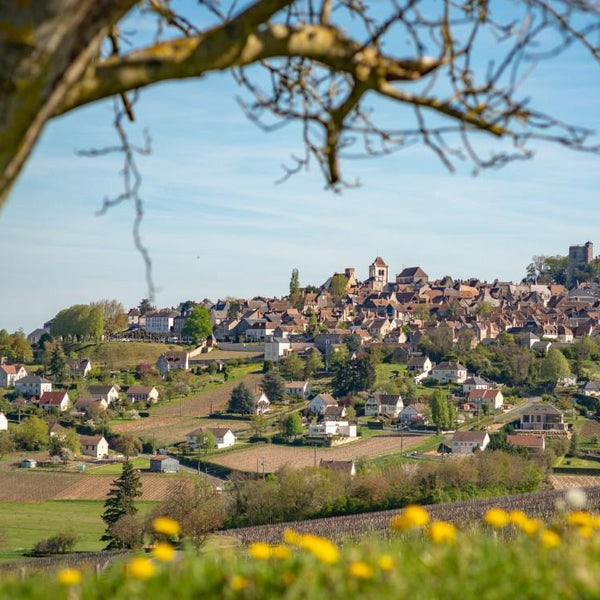 Bluebird Sancerre, Centre-Val de Loire, France Jigsaw Puzzle (1000 Pieces)