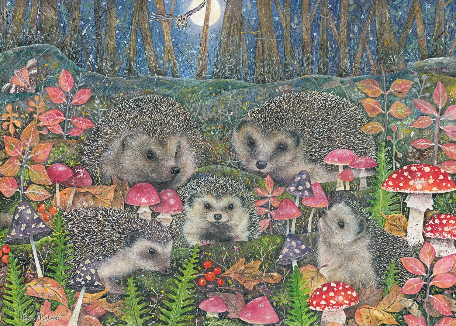 Otter House Woodland Hedgehogs Jigsaw Puzzle (1000 Pieces) DAMAGED BOX