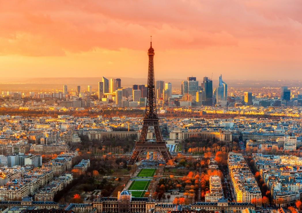 Bluebird Eiffel Tower, Paris, France Jigsaw Puzzle (1000 Pieces)