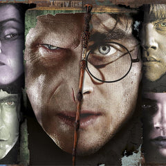 Clementoni Harry Potter Chamber Of Secrets Jigsaw Puzzle (1000 Pieces)