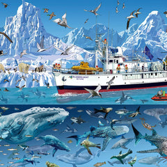 Bluebird Arctic - Bluebird Boat, Francois Ruyer Jigsaw Puzzle (1500 Pieces)