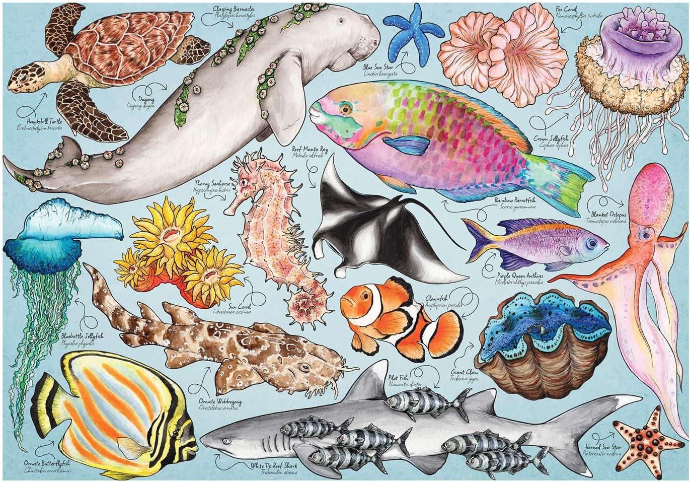 House of Puzzles Great Barrier Reef Jigsaw Puzzle (1000 Pieces)