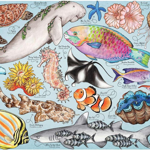 House of Puzzles Great Barrier Reef Jigsaw Puzzle (1000 Pieces)